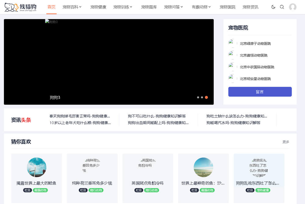 找猫狗网